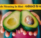 Avocado In hindi Detail