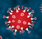 Coronavirus(कोरोना वायरस)
